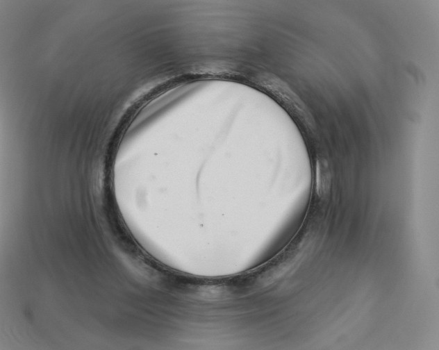 X0000113320204200910131135