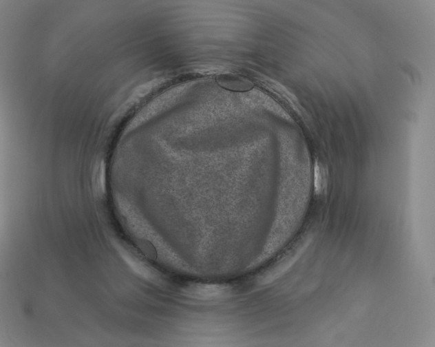 X0000113320205200910131135