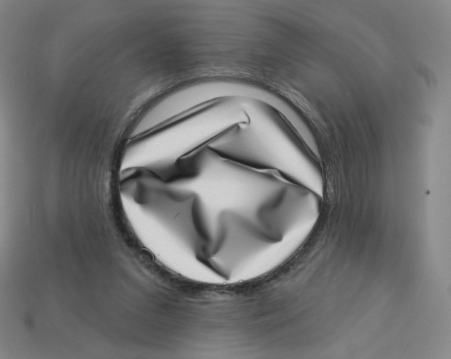 X0000113320207200910131135