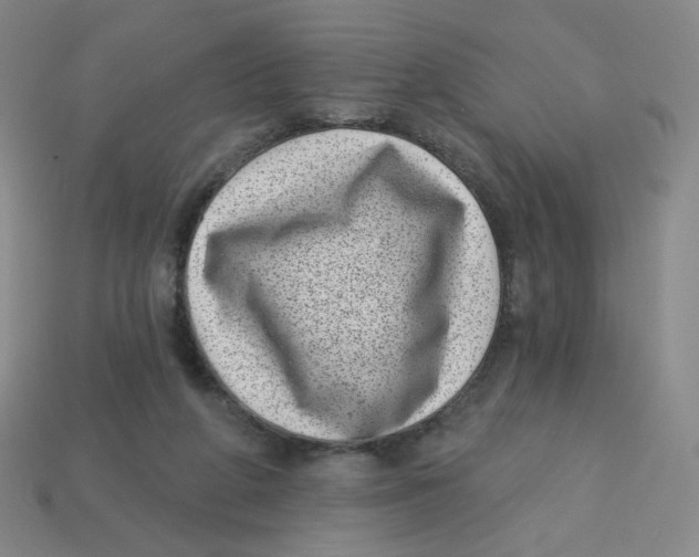 X0000113320210200910131135