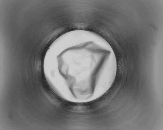 X0000113320212200910131135