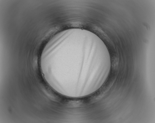 X0000113320213200910131135