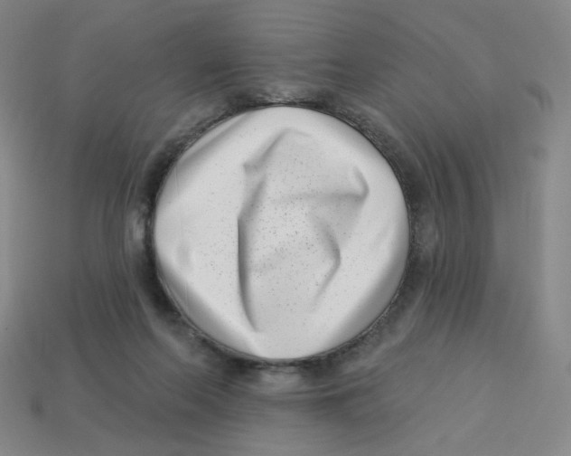 X0000113320214200910131135