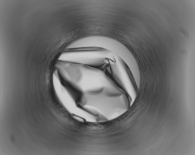 X0000113320215200910131135