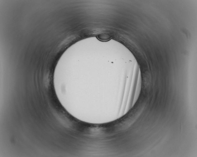 X0000113320216200910131135