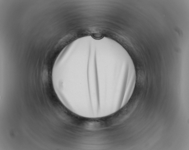 X0000113320220200910131135