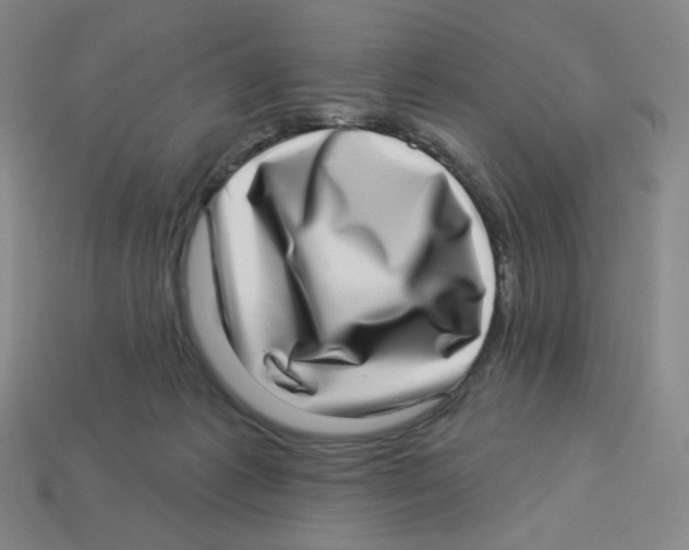 X0000113320221200910131135