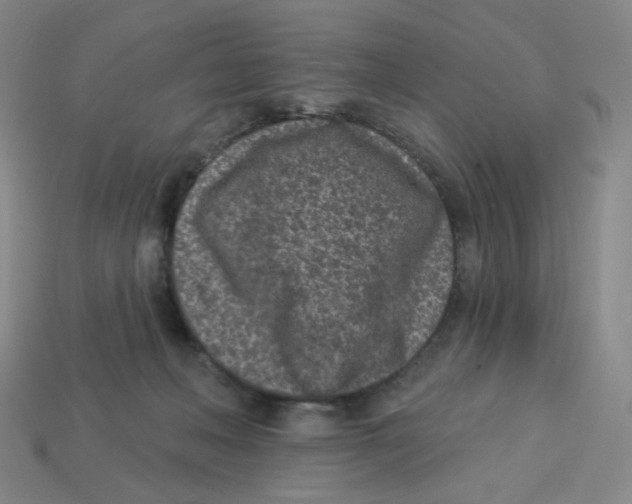 X0000113320222200910131135