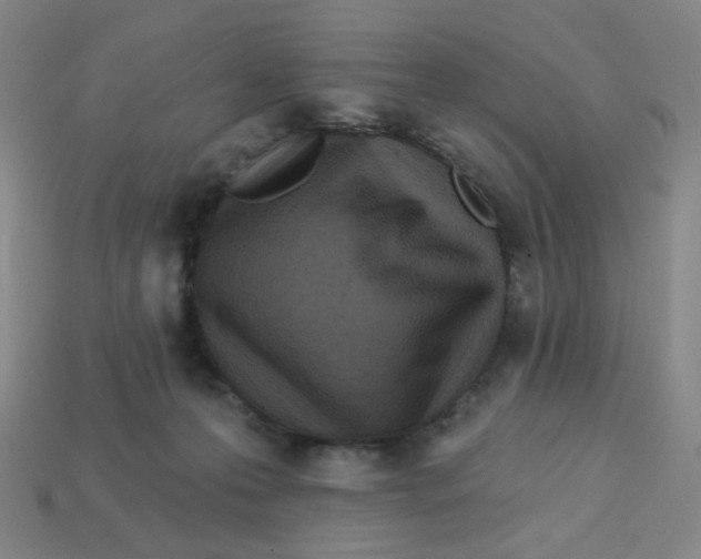 X0000113320223200910131135