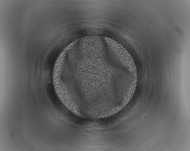 X0000113320224200910131135