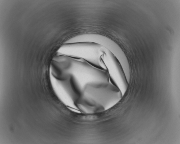 X0000113320225200910131135