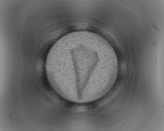 X0000113320228200910131134