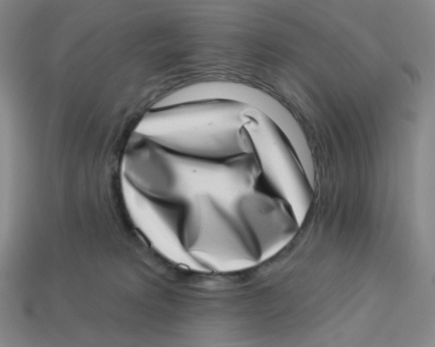 X0000113320229200910131134