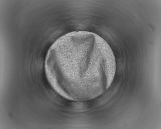 X0000113320230200910131134