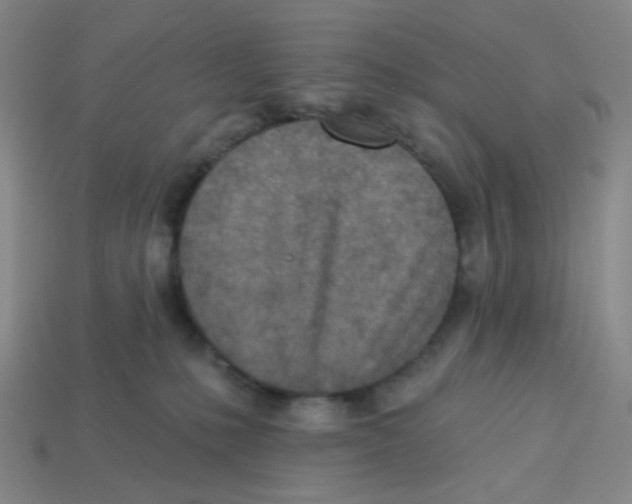 X0000113320231200910131134