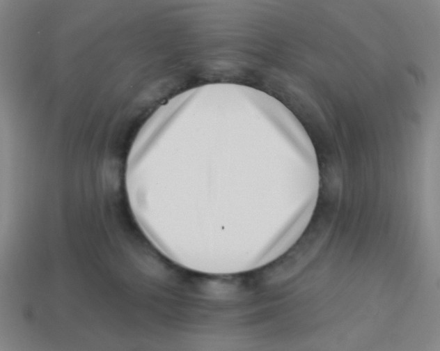 X0000113320232200910131134