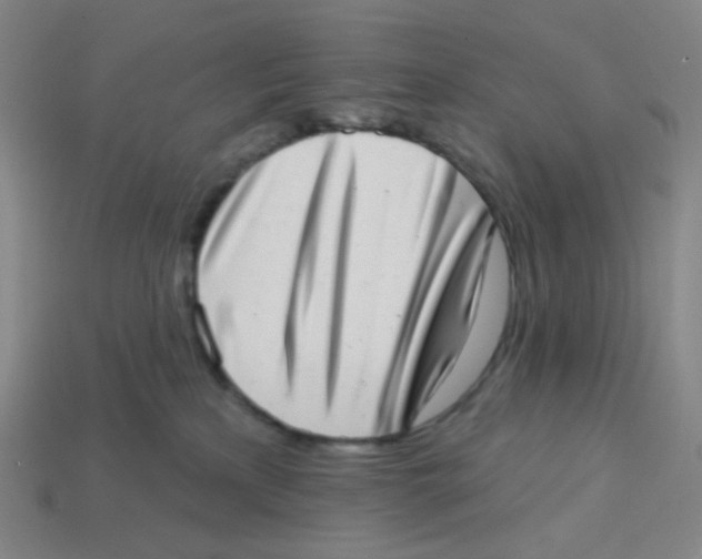 X0000113320233200910131134