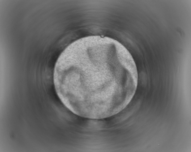 X0000113320234200910131134