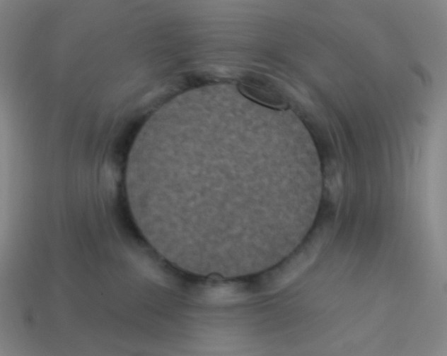 X0000113320235200910131134