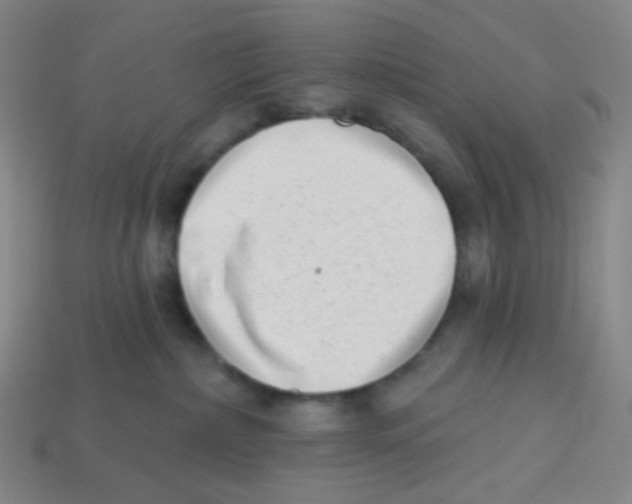 X0000113320236200910131134