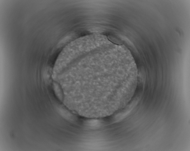 X0000113320237200910131134