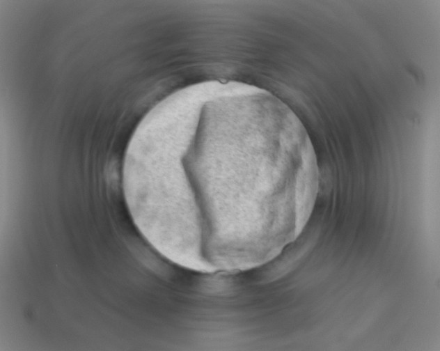 X0000113320238200910131134