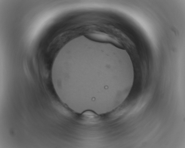 X0000113320239200910131134