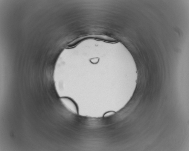 X0000113320240200910131134