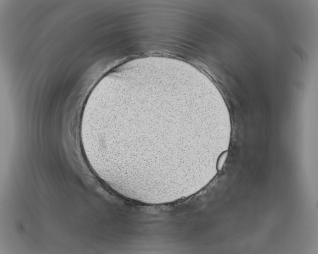 X0000113320241200910131134