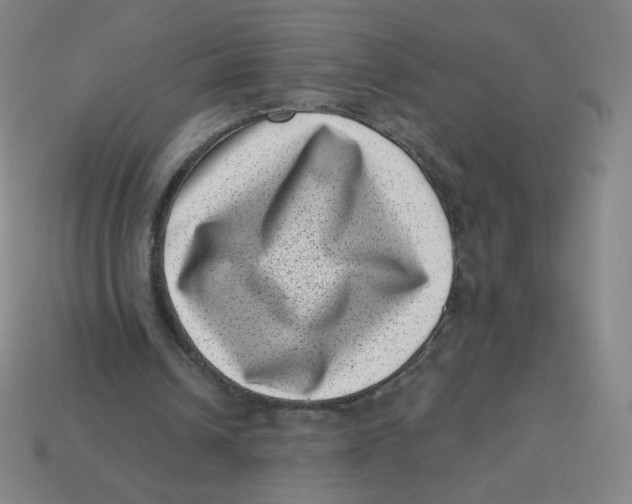 X0000113320242200910131134