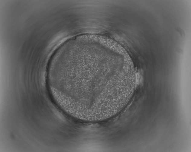 X0000113320243200910131134