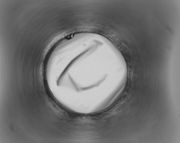 X0000113320244200910131134