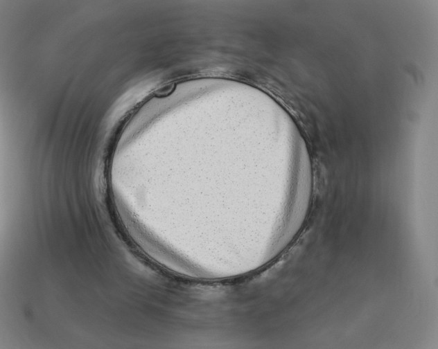 X0000113320245200910131134