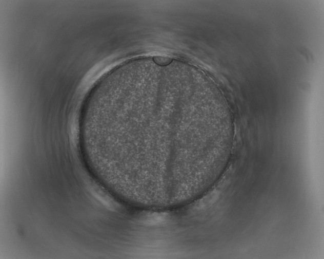 X0000113320247200910131134