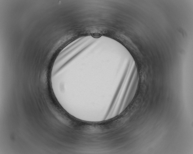 X0000113320250200910131134