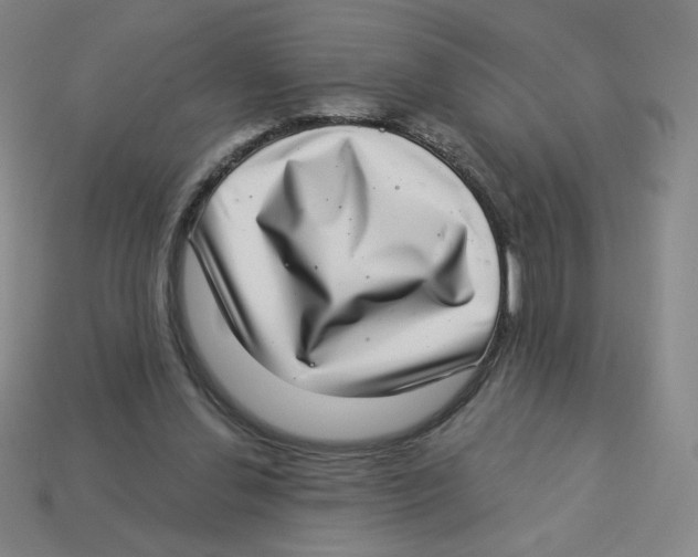 X0000113320252200910131134