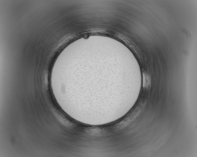 X0000113320253200910131134