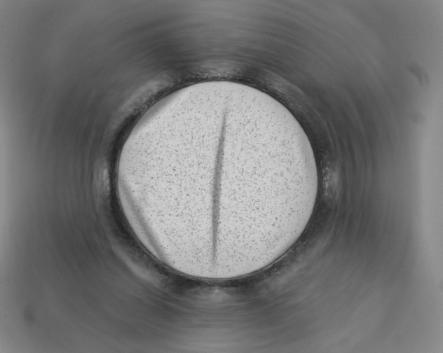 X0000113320254200910131134