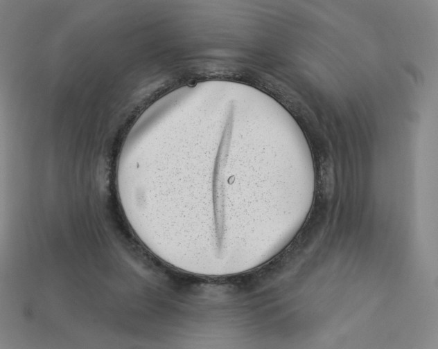 X0000113320255200910131134