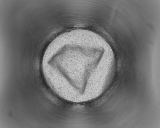 X0000113320257200910131134