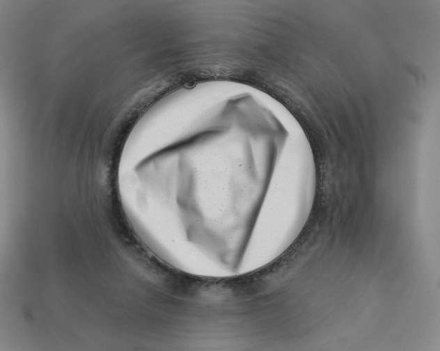 X0000113320258200910131134