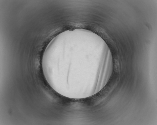 X0000113320259200910131134