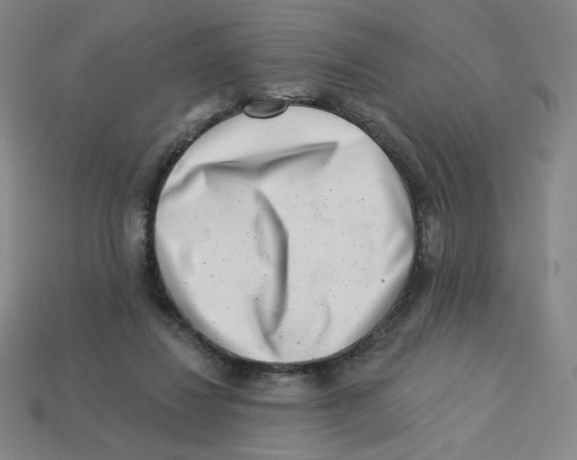 X0000113320260200910131134