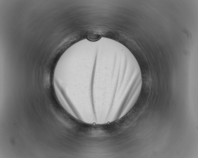 X0000113320262200910131134