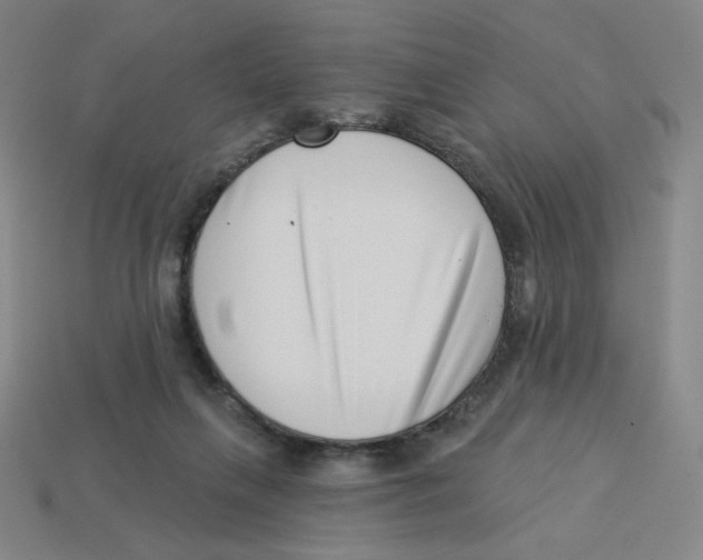 X0000113320263200910131134