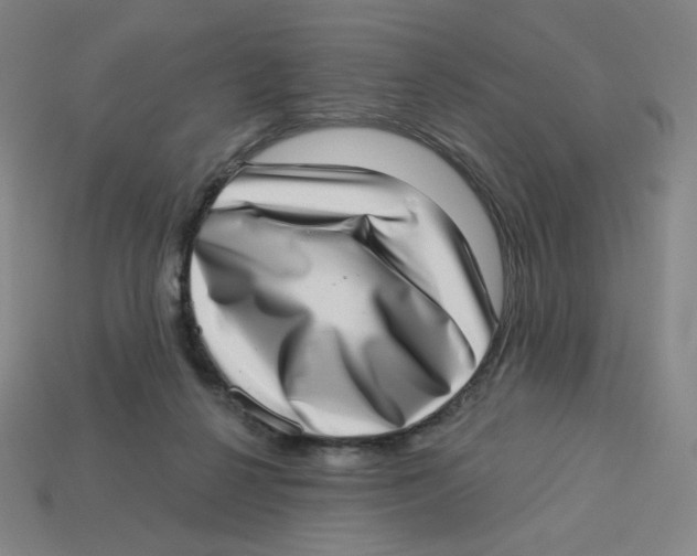 X0000113320264200910131134