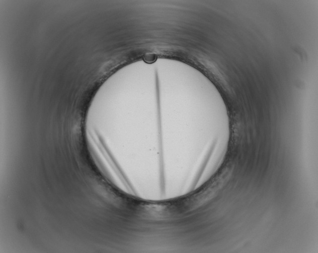 X0000113320265200910131134