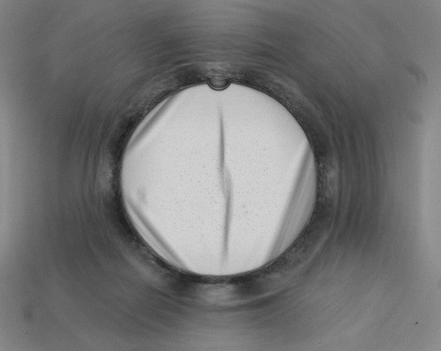 X0000113320266200910131134