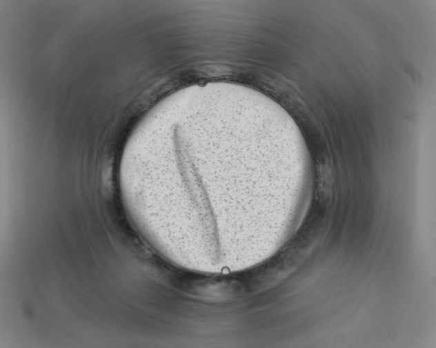 X0000113320267200910131134