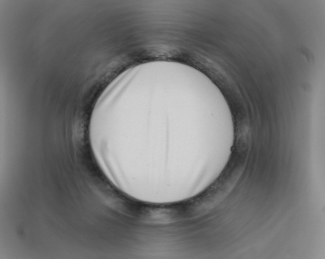 X0000113320268200910131134